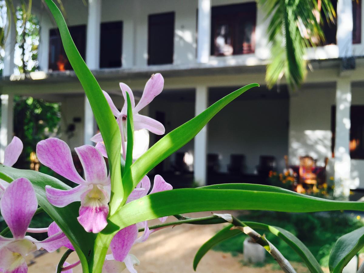 Sigiri Rainbow Lodge Sigiriya Eksteriør billede