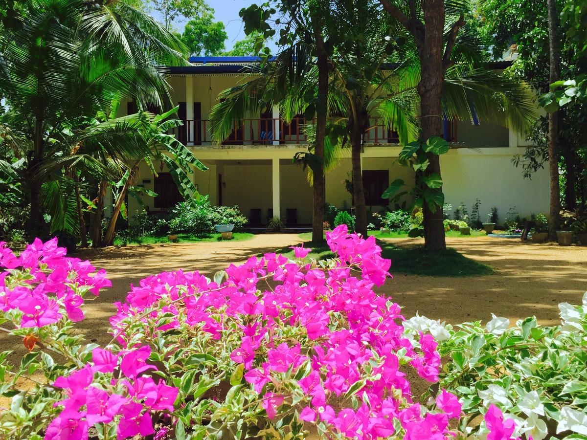 Sigiri Rainbow Lodge Sigiriya Eksteriør billede